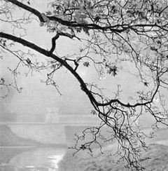 Беседы о фотомастерстве - dyko_photo_055a.jpg