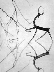 Беседы о фотомастерстве - dyko_photo_055b.jpg