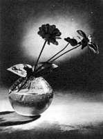 Беседы о фотомастерстве - dyko_photo_084.jpg