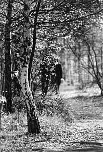 Беседы о фотомастерстве - dyko_photo_122.jpg