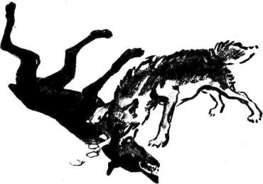 Муха с капризами (с илл.) - img510104600_m.jpg