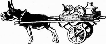 Муха с капризами (с илл.) - img510104431_m.jpg