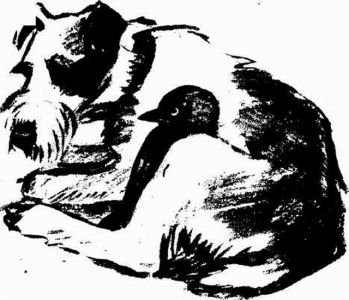 Муха с капризами (с илл.) - img510104508_m.jpg