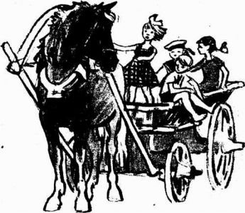 Муха с капризами (с илл.) - img510104537_m.jpg