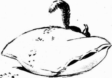 Муха с капризами (с илл.) - img510104549_m.jpg