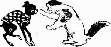 Муха с капризами (с илл.) - img510104054_m.jpg