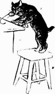 Муха с капризами (с илл.) - img510104148_m.jpg