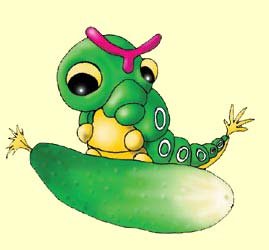 Энциклопедия покемонов - Caterpie.jpg