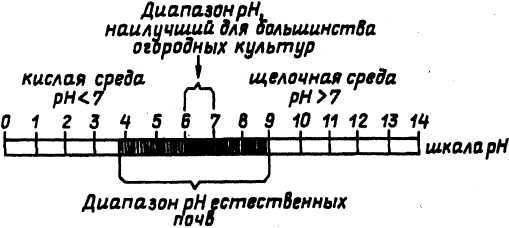 СЕМЕЙНОЕ ОВОЩЕВОДСТВО НА УЗКИХ ГРЯДАХ Опыт использования метода Митлайдера в России - pic_08.jpg