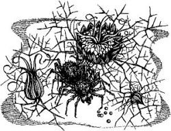 Фата-Моргана 2 (Фантастические рассказы и повести) - i_009.jpg