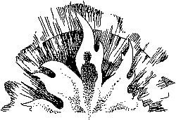 Фата-Моргана 2 (Фантастические рассказы и повести) - i_040.jpg