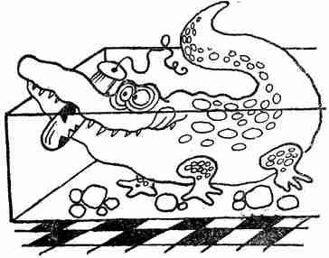 Заводи кого угодно, только не крокодила! - i_002.jpg