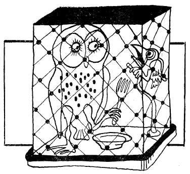 Заводи кого угодно, только не крокодила! - i_013.jpg