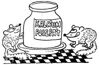 Заводи кого угодно, только не крокодила! - i_020.jpg