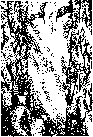 Фата-Моргана 4 (Фантастические рассказы и повести) - img_05.png