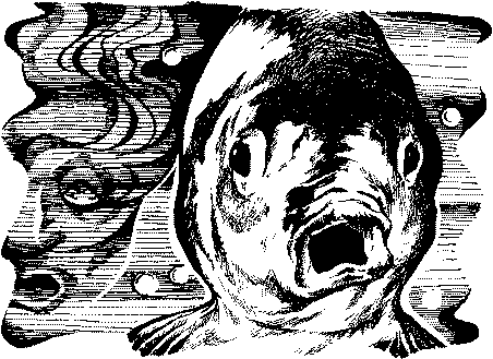 Фата-Моргана 4 (Фантастические рассказы и повести) - img_42.png