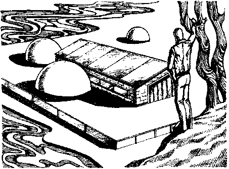 Фата-Моргана 4 (Фантастические рассказы и повести) - img_58.png