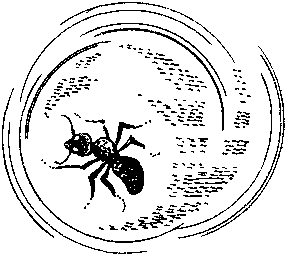 Фата-Моргана 5 (Фантастические рассказы и повести) - img_08.png