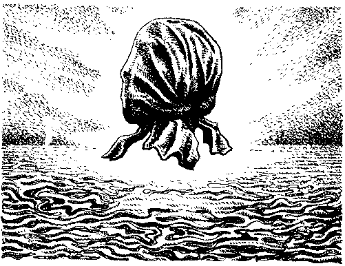 Фата-Моргана 5 (Фантастические рассказы и повести) - img_42.png