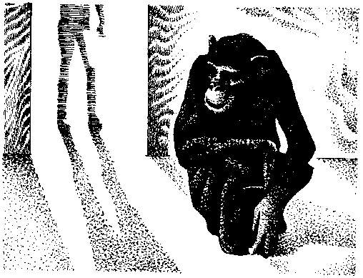 Фата-Моргана 5 (Фантастические рассказы и повести) - img_45.png