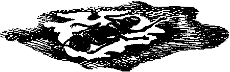 Фата-Моргана 1 (Фантастические рассказы и повести) - i_017.png