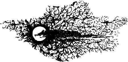 Фата-Моргана 1 (Фантастические рассказы и повести) - i_026.png