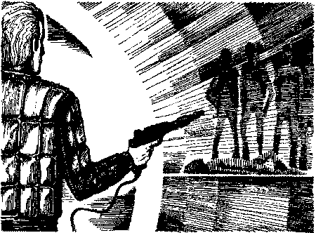 Фата-Моргана 1 (Фантастические рассказы и повести) - i_029.png