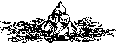 Фата-Моргана 1 (Фантастические рассказы и повести) - i_036.png