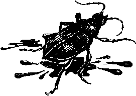 Фата-Моргана 1 (Фантастические рассказы и повести) - i_038.png