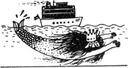 Топало - _8.png
