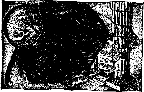 Остров пурпурной ящерицы  - i_012.png