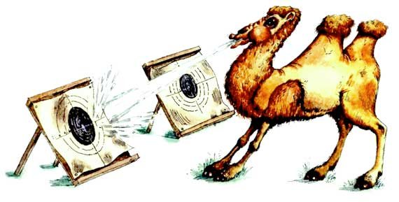 Мохнатая азбука - i_004.jpg