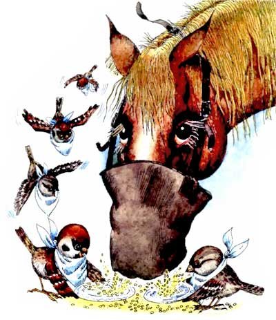 Мохнатая азбука - i_005.jpg