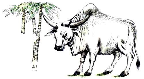 Мохнатая азбука - i_011.jpg