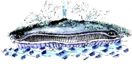 Мохнатая азбука - i_015.jpg