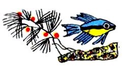 Отшельник и Роза - i_014.jpg