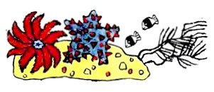 Отшельник и Роза - i_023.jpg