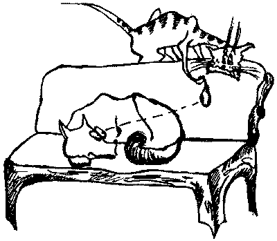 Про волков, собак и кошек - i_004.png