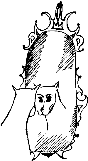 Про волков, собак и кошек - i_016.png