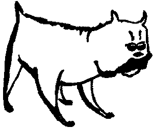 Про волков, собак и кошек - i_017.png