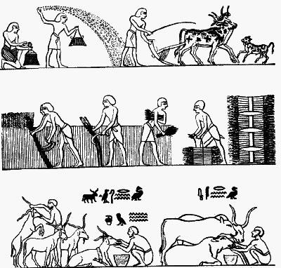 Другая история Средневековья. От древности до Возрождения - i_010.png