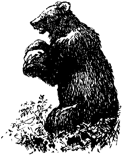 Неугомонный Носир - i_011.png