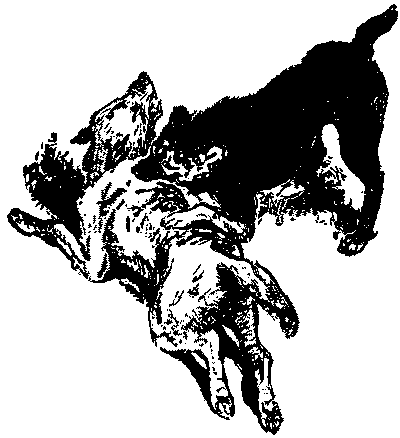 Неугомонный Носир - i_013.png