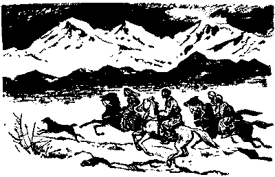 Неугомонный Носир - i_019.png