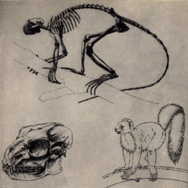 Адрес — Лемурия? - pic02.jpg