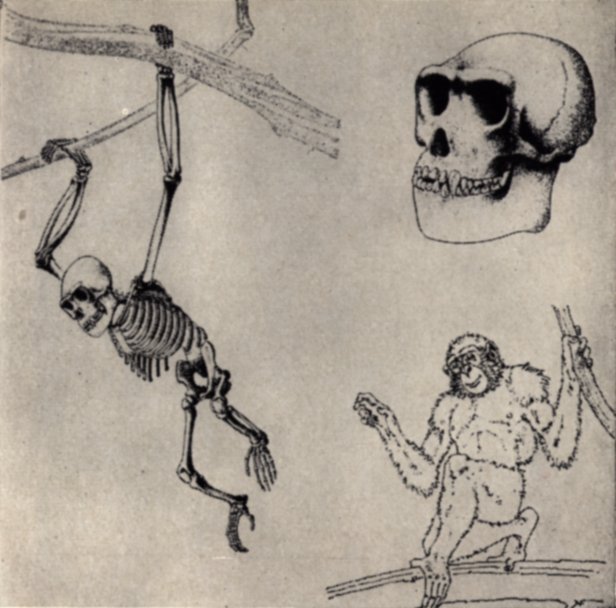 Адрес — Лемурия? - pic03.jpg