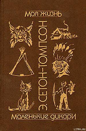 Книга Моя жизнь