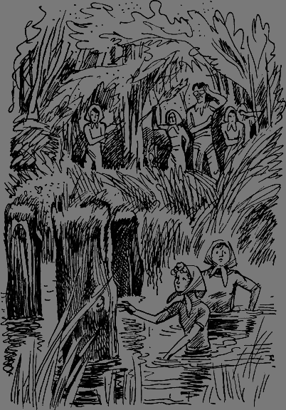 Тайна старого Радуля - any2fbimgloader6.png