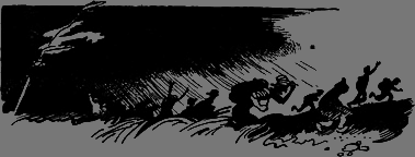 За березовыми книгами - any2fbimgloader23.png