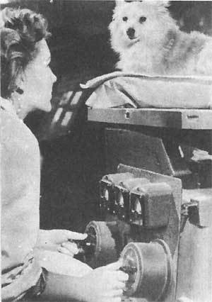 Королев: факты и мифы - _583.jpg